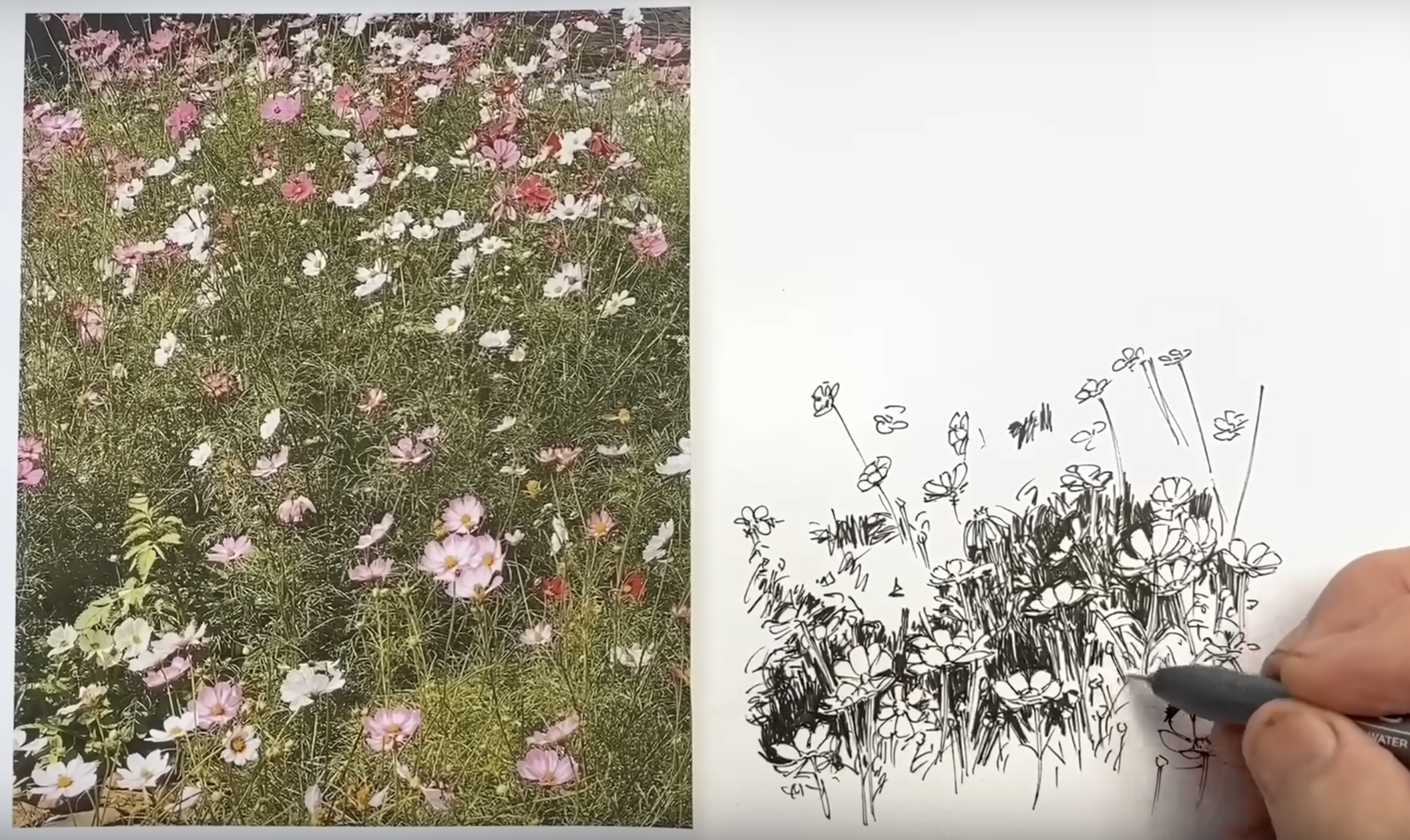 8:09 into the Stephen Travers video