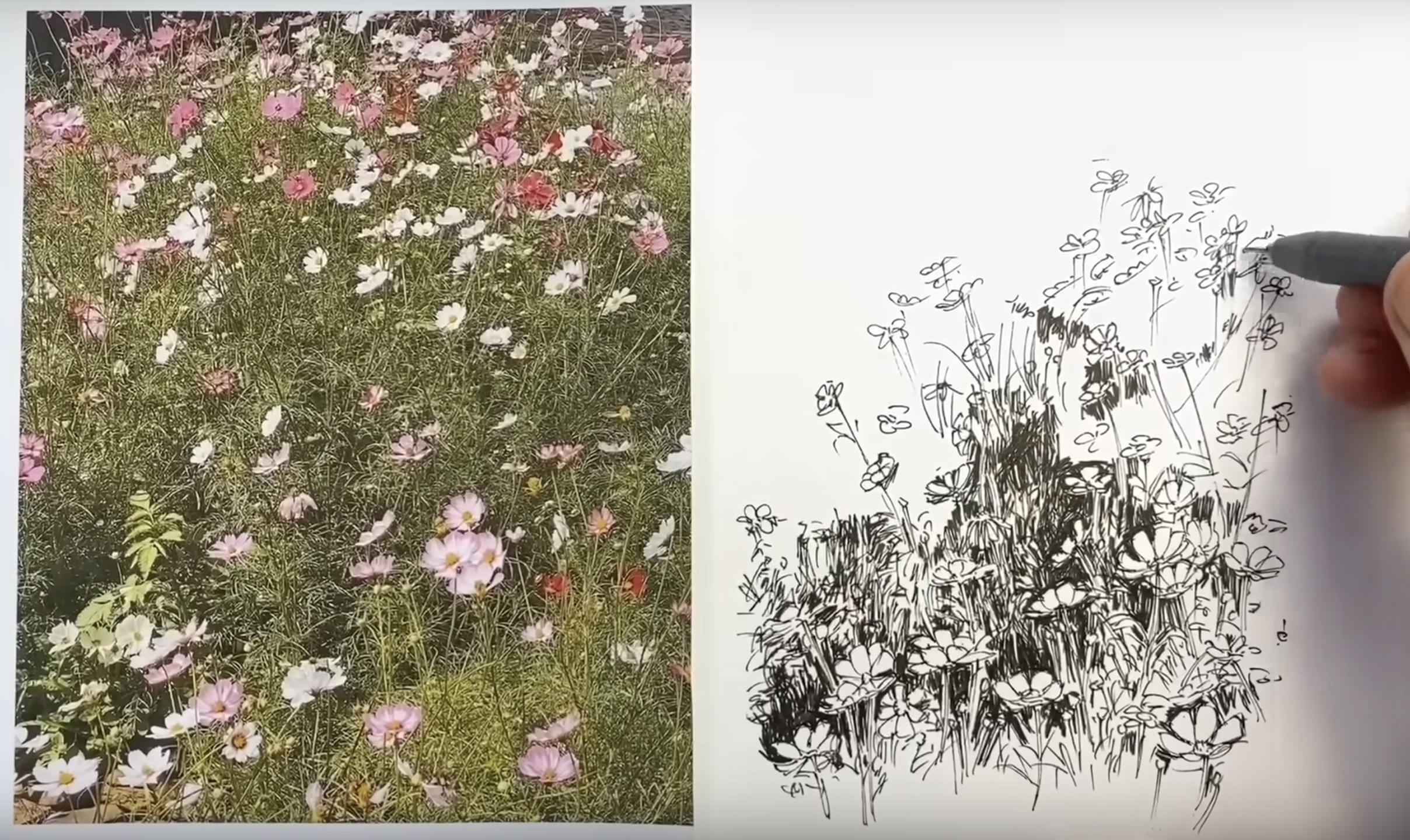 9:41 into the Stephen Travers video